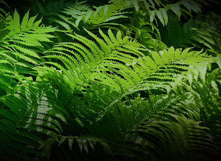 麻将胡了2·(中国区)官方网站-游戏入口